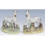 Pair of Staffordshire models of Zebra, 1