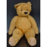 Large gold plush English teddy bear, 61c