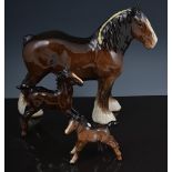 Beswick model of a Shire mare, brown colourway, 22cm, a Beswick Arab horse head, No.