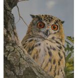 After Anthony Gibbs, "Bengal Eagle Owl", signed limited edition, colour print,