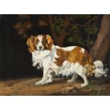 Anglo-Dutch School
Study of a Spaniel,
indistinctly signed,
oil on metal panel,
17cm x 24cm,