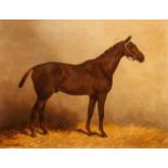 Henry Frederick Lucas Lucas
"Golden Valley" and "Red Sea",
pair of equine portraits,
both titled,