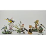 Collection of seven Franklin bird models, to include the European Blue-tit, the Northern Oriole,