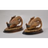 Pair of resin models of Chinese pheasants, set on wooden bases, overall width 34cm.