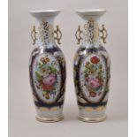 Pair of Continental porcelain two handled vases, probably French, reserves painted with flowers,