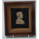 Wax profile portrait of the Emperor Napolean, rosewood framed, 18cm x 16cm overall.