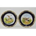 Set of six Spode hand painted game bird plates, to include, Lapwing, Quail, Mallard, Snipe,