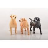 Beswick model of a black labrador, standing, 13cm and four other models of Beswick Labradors, (5).