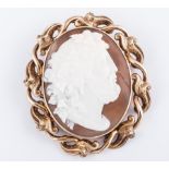 An oval carved shell cameo brooch,