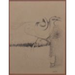 Cecily Sash,
Bird study,
Signed and dated 74, graphite,
47 x 34cms.