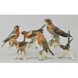 Set of six Goebel's garden birds, to include Chaffinch, Robin, Song Thrush, Kingfisher,