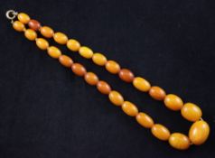 A single strand graduated amber bead necklace, with gilt metal clasp, gross weight 32 grams, with