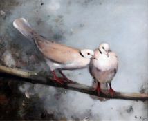 Andrew Law (1873-1967)oil on canvas laid on board,Collar doves,signed,16 x 19in.