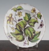 A Chelsea Hans Sloane botanical plate, c.1755, painted with yellow flowers and insects amidst