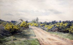 Charles A. Brindley (fl.1888-1916)watercolour,Rabbits and gorse beside a moorland track,signed and