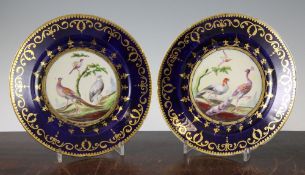 Two Coalport outside decorated dessert plates, c.1810, each plate decorated to the centre with a