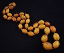 A single strand graduated amber bead necklace, with two horn bead clasps, gross weight 85 grams,