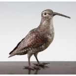 A late 19th / early 20th century Austrian cold painted bronze woodcock, 7in.