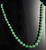 A single strand graduated jadeite bead necklace, with diamond set white gold clasp, 16.5in.