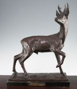 Fritz Diller (German, 1875-1945). A bronze model of a Roebuck, signed, on rectangular marble