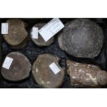 A Hadrosaur egg and five other dinosaur bones, 3.5in. - 6in.