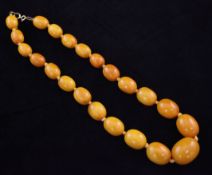 A single strand graduated amber oval bead necklace, with gilt metal clasp, gross weight 52 grams,