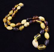 A single strand multi coloured amber bead necklace, with silver clasp, gross 31 grams, 20in.