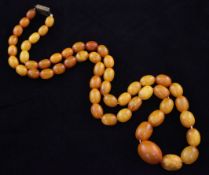 A single strand graduated amber oval bead necklace, with square gilt metal clasp, gross weight 44