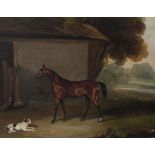 Early 19th century English Schoolpair of oils on canvas,Portrait of a horse and a hound in a