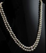 A double strand graduated cultured pearl necklace, with 1970's 9ct gold clasp, 15.5in.