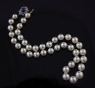 A single strand graduated cultured pearl necklace with sapphire and diamond cluster clasp, a.f, 14.