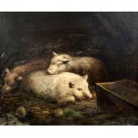 After Morlandoil on canvas,Pigs in a sty,24.5 x 29.5in.