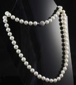 A single strand cultured pearl necklace with diamond set spherical white metal clasp, 28.5in.