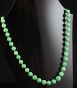 A single strand graduated jadeite bead necklace, with 9ct gold clasp, 22in.