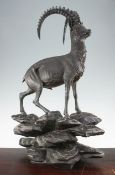 A large Black Forest carved model of an Ibex, on a rocky outcrop, 29in.