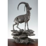 A large Black Forest carved model of an Ibex, on a rocky outcrop, 29in.