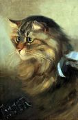 Florence N Street (Exh. 1884)oil on board,Portrait of a tabby cat,signed, dated 1894 and titled '