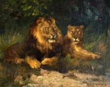 Cuthbert Edmund Swan (Irish, 1870-1931) Studies of lions and a tiger, 6.75 x 8.5in. Cuthbert