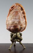 An Italian conch shell cameo table lamp, decorated with a classical scene depicting Aphrodite with