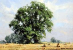 § David Shepherd (1931-)oil on canvas,Oak trees in a cornfield,signed,6.5 x 9.5in.