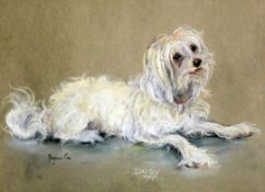 Marjorie Cox (20th C.)pastel,Portrait of a white terrier 'Daisy',signed and dated 1967,12 x 16in.