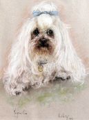 Marjorie Cox (20th C.)pastel,Portrait of a white poodle 'Lily',signed and dated 1991,14 x 10.5in.