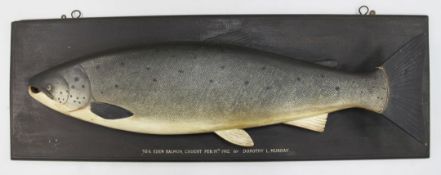 A large carved and painted blockwood angling trophy, the salmon mounted on ebonised display board,