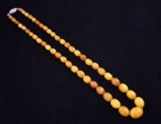 A single strand graduated amber bead necklace, with silver clasp, gross weight 17 grams, 8.25in.