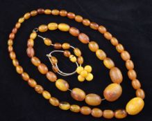 Two graduated amber bead necklaces and a brooch, one string a.f., gross weight 79 grams, longest