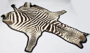 An early 20th century zebra skin rug, stitched with black felt backing, 10ft 1in.