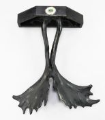 In the manner of Anthony Redmile. An ebonised wall bracket, modelled with simulated stag horns and