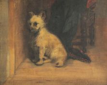 Attributed to George Armfieldoil on canvas laid on board,Study of a West Highland Terrier,unsigned,