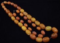 Two single strand amber bead necklaces, one graduated with 9ct gold clasp (a.f.), gross 158 grams,