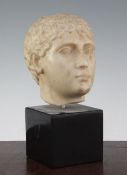 A British Museum simulated marble classical head, on ebonised plinth, 10in.